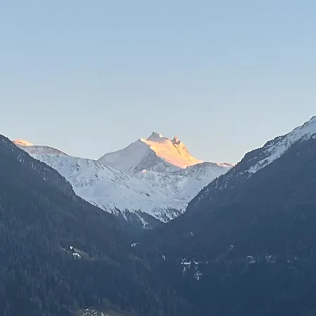 Entier Dans Traditionnel Bratsch